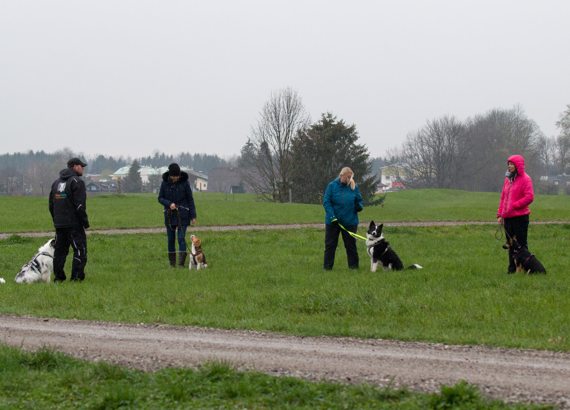 cropped-9E56872D-D6F6-4118-96E8-6AF90B21BA7A-2.jpeg hund-training-teamwork